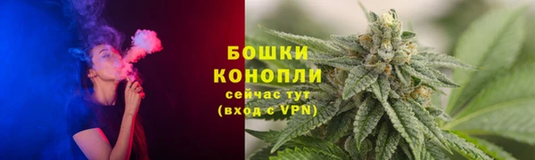 стаф Бородино